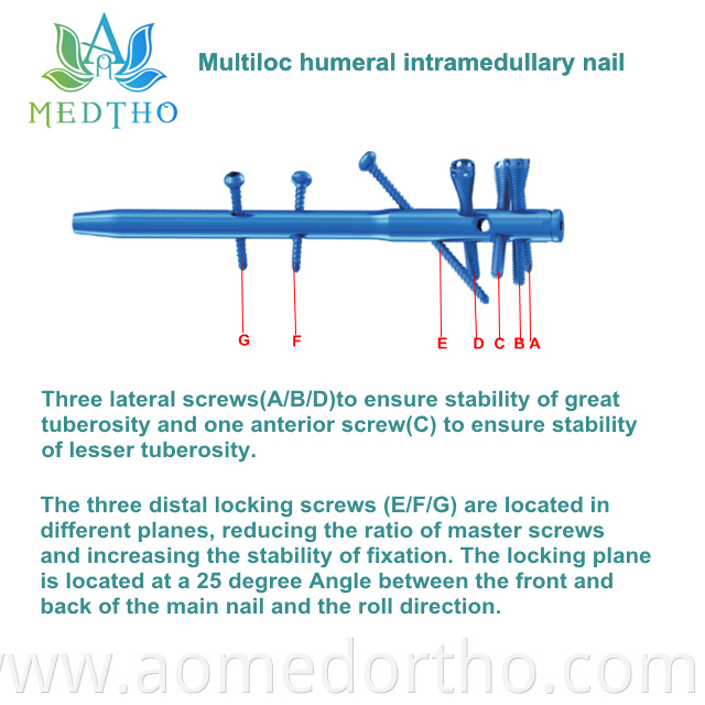 multiloc intramedullary nail